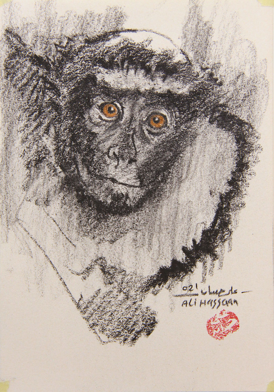A Monkey head study 2 | 2021 | Charcoal and soft pastel on paper | 13,5 cm x 19,2 cm
