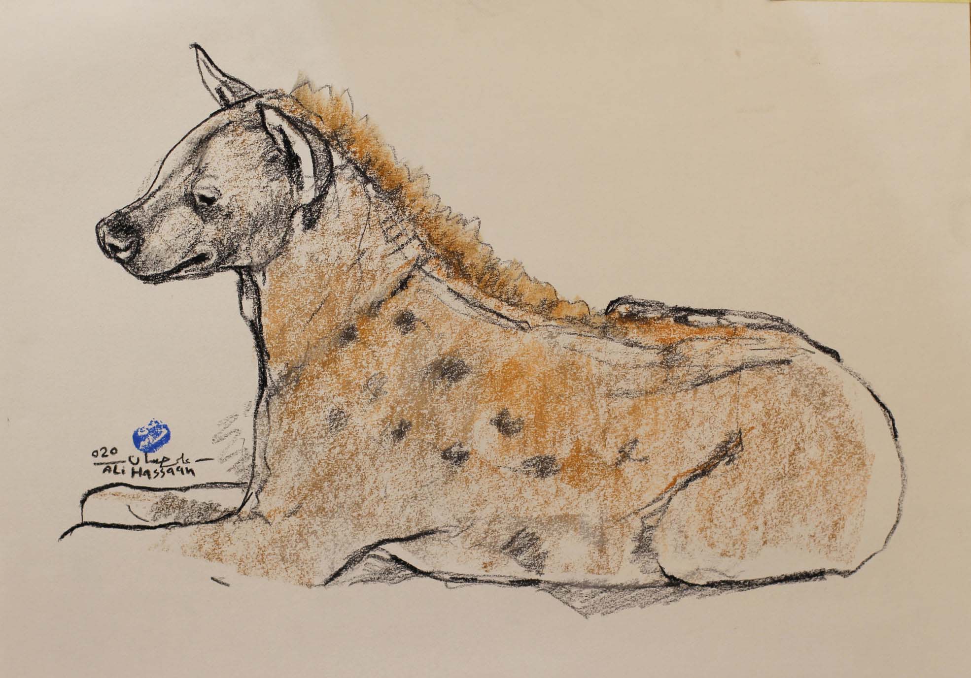 Hyena study 3 | 2020 | charcoal and soft pastel on paper | 42 cm x 28,5 cm 