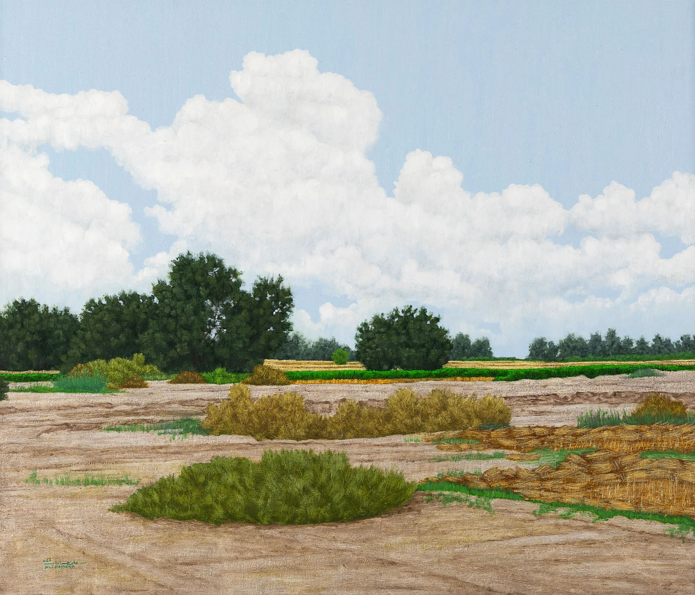 Autumn in the fields of Madamoud - 1 | 2026 | Oil on compressed wood | 70 cm x 60 cm